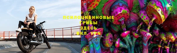 таблы Арсеньев