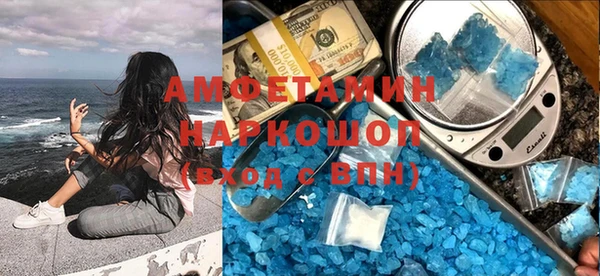 гидра Аркадак