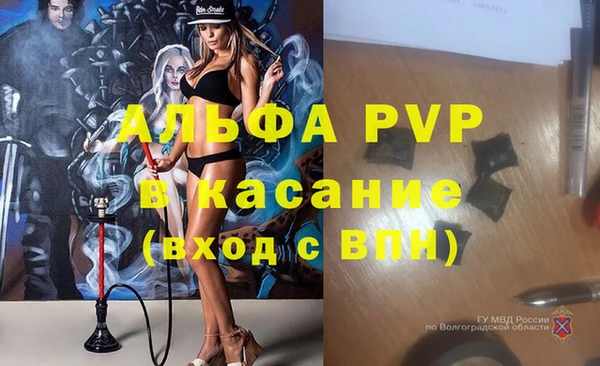 гидра Аркадак