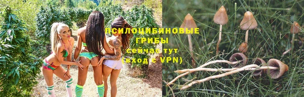 таблы Арсеньев